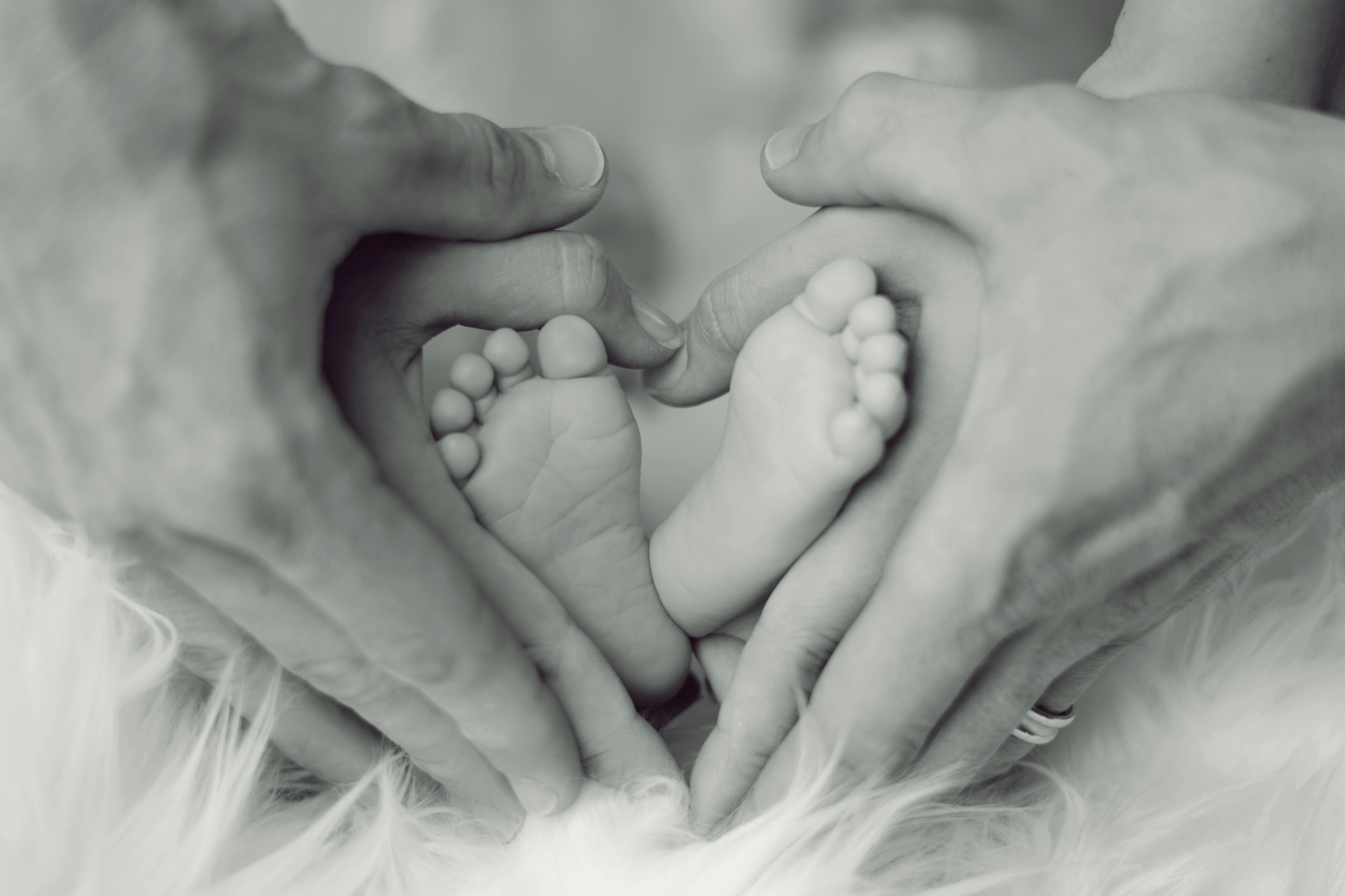 Download Grayscale Photo Of Baby Feet With Father And Mother Hands In Heart Signs Free Stock Photo