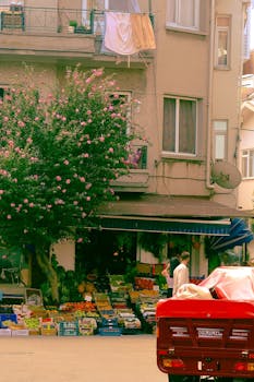 An urban street market stall overflowing with fresh fruits and vegetables under a blooming tree.