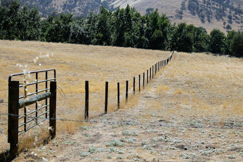 Free stock photo of fence, field Stock Photo