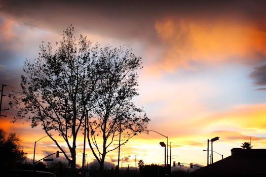 夕阳西下，戏剧性的天空映衬出一棵树的剪影