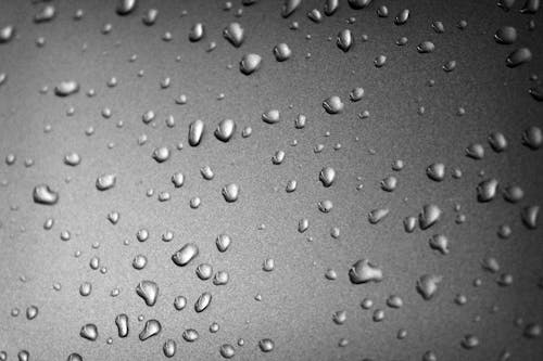 Free stock photo of droplets, water Stock Photo