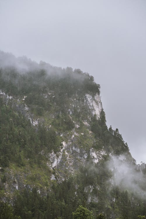 Fotobanka s bezplatnými fotkami na tému hmlistý, ponurý, príroda