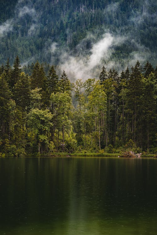 Безкоштовне стокове фото на тему «безтурботний, берег озера, гора»