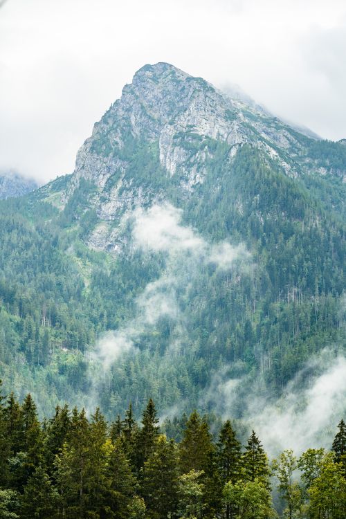 Free Breathtaking view of a mist-covered mountain forest, offering serene natural beauty. Stock Photo