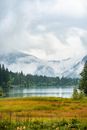 Green Trees Near Lake Under White Clouds