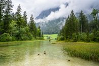 Green Grass and Trees Near River Under White Clouds