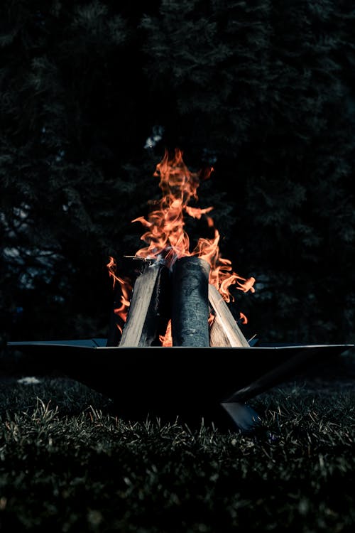 Darmowe zdjęcie z galerii z drewno, ogień, ognisko