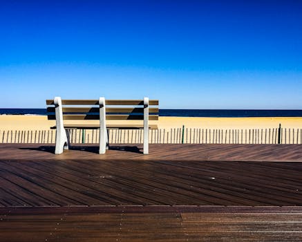 Peaceful beach scene with a wooden bench on a sunny day by the ocean.