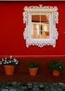 Potted Plants Beside a Red Wall With a White Window Frame