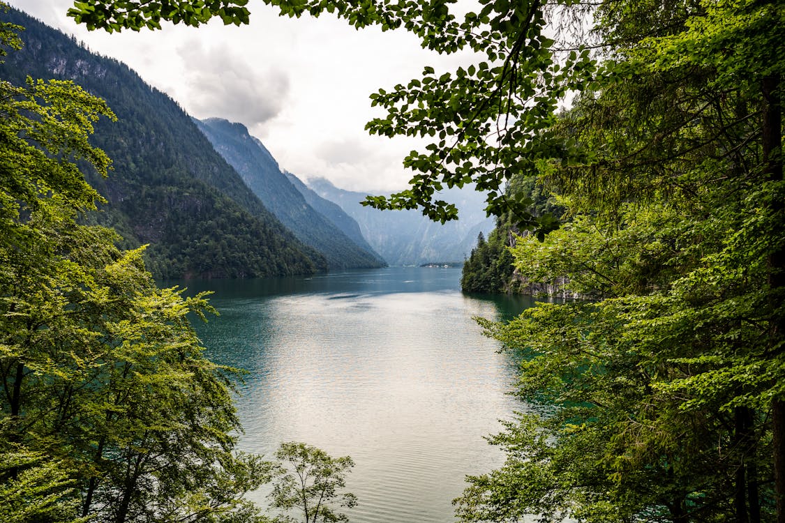 Green Trees  and Mountains Near the Calm Lake 