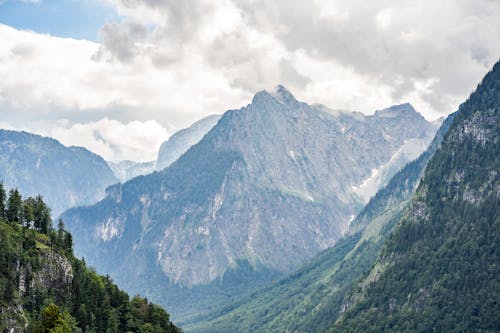 Foto d'estoc gratuïta de arbres, erosió, formació geològica