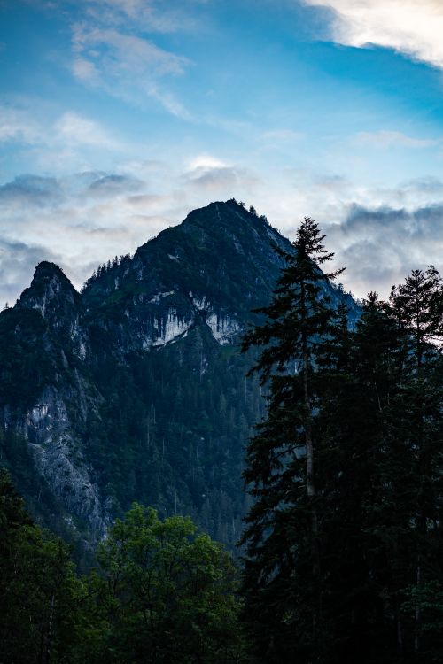 Free Majestic mountain range with trees and clouds below a bright blue sky. Stock Photo