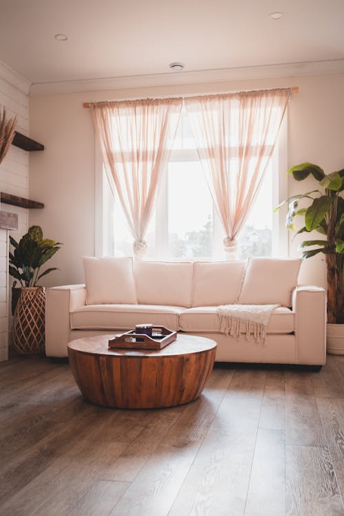 Free Living room with couch and plants against table near window Stock Photo