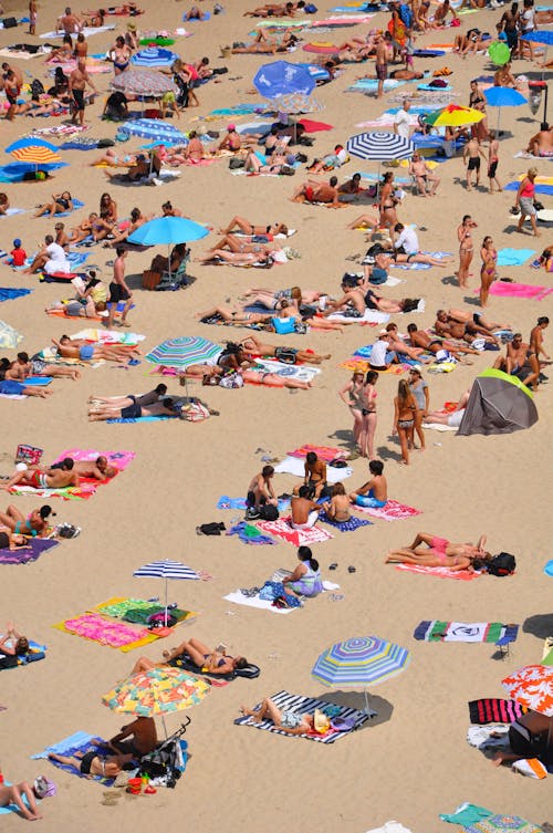 Foto profissional grátis de amontoado, banhos de sol, cobertores