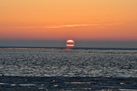 A breathtaking sunset over the ocean with a warm golden glow and serene horizon.
