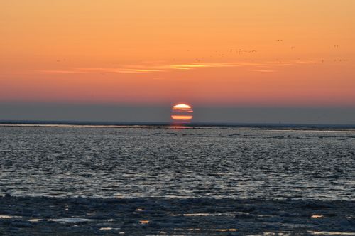 Free A breathtaking sunset over the ocean with a warm golden glow and serene horizon. Stock Photo
