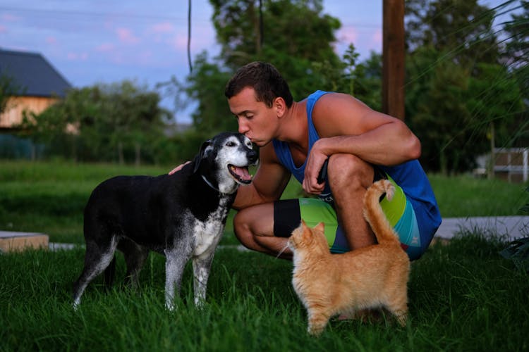 A Man Kissing His Dog 