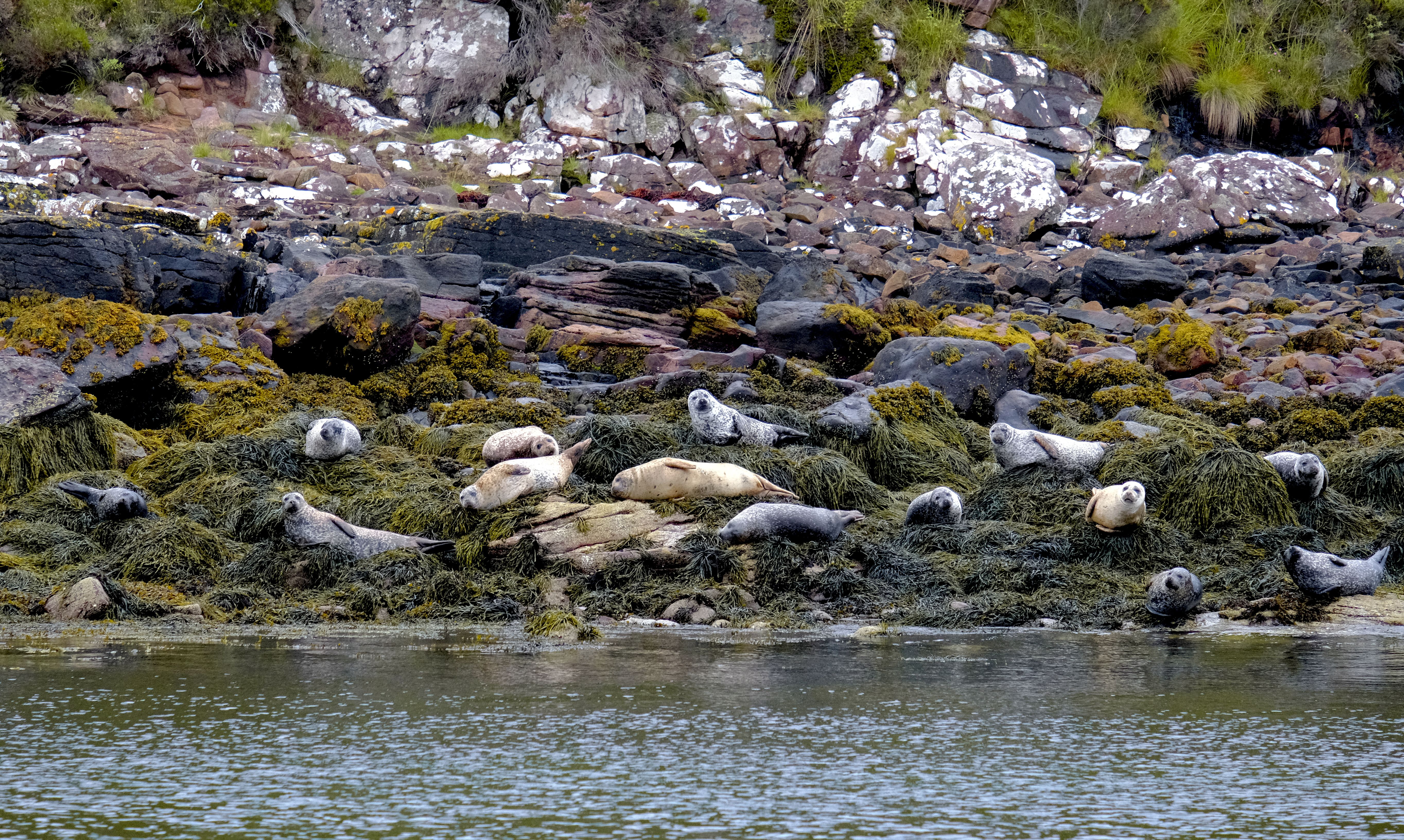 Ullapool — Ullapool