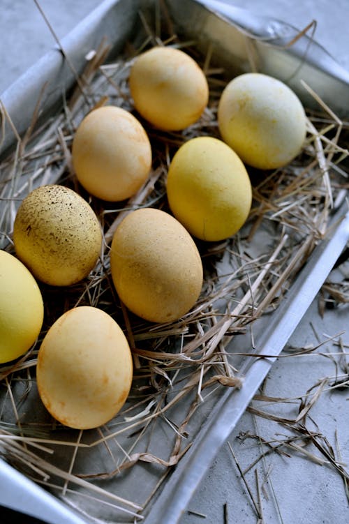 Free Photograph of Yellow Eggs with Hay Stock Photo