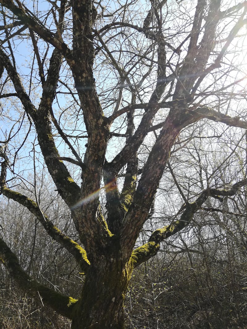 Infrastructure Autoroutière