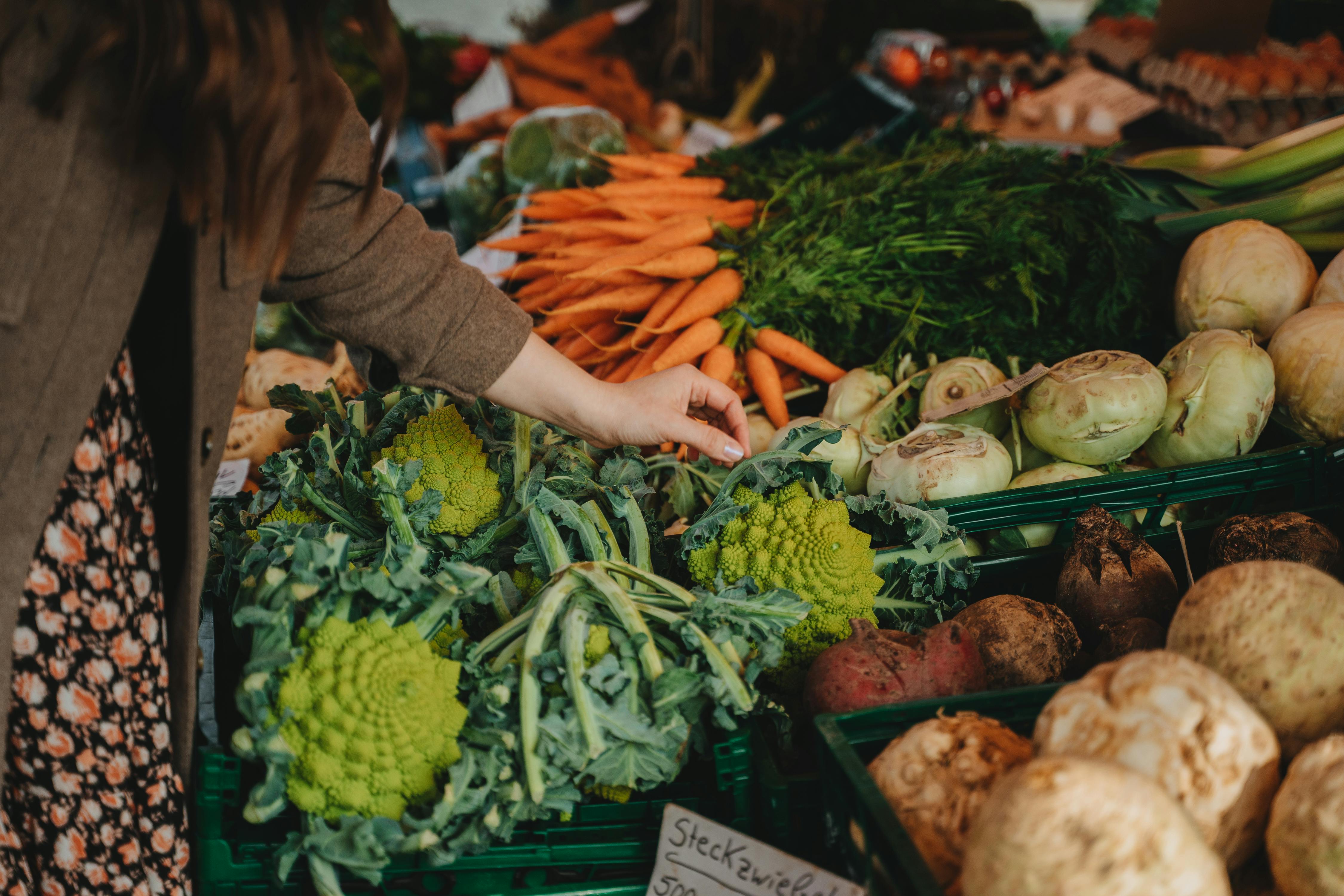 photograph of a person s hand picking vegetables