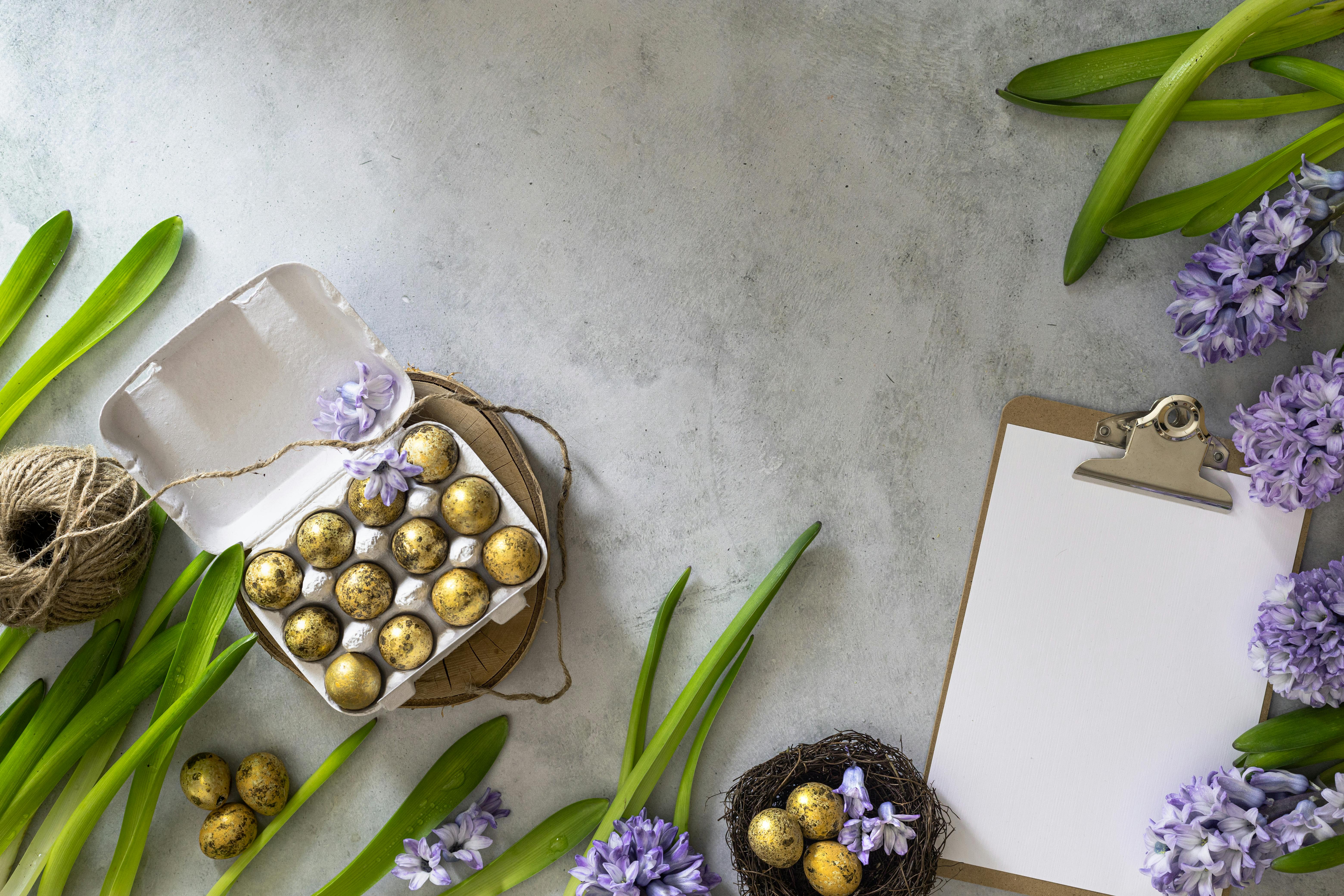 Flat lay of quail eggs, purple hyacinths, and a clipboard on a concrete background.