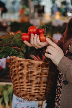 A woman selecting fresh tomatoes at an outdoor market in Erfurt, Germany.