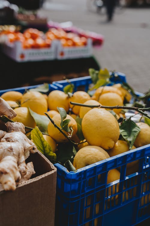 Fresh Lemons on Blue Plastic Crate