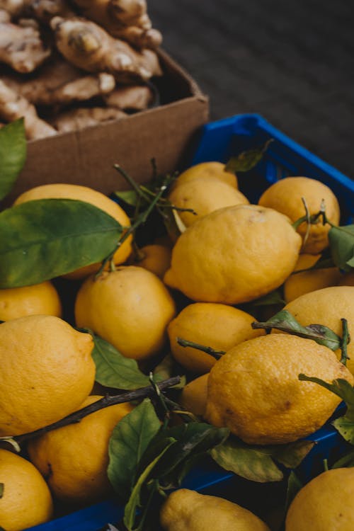 Free Lemon Fruits in a Plastic Crate Stock Photo