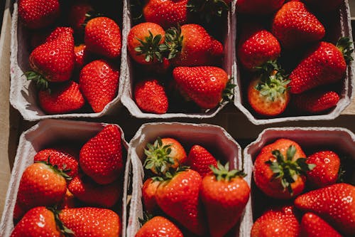 Strawberries in Gray Paper Tray