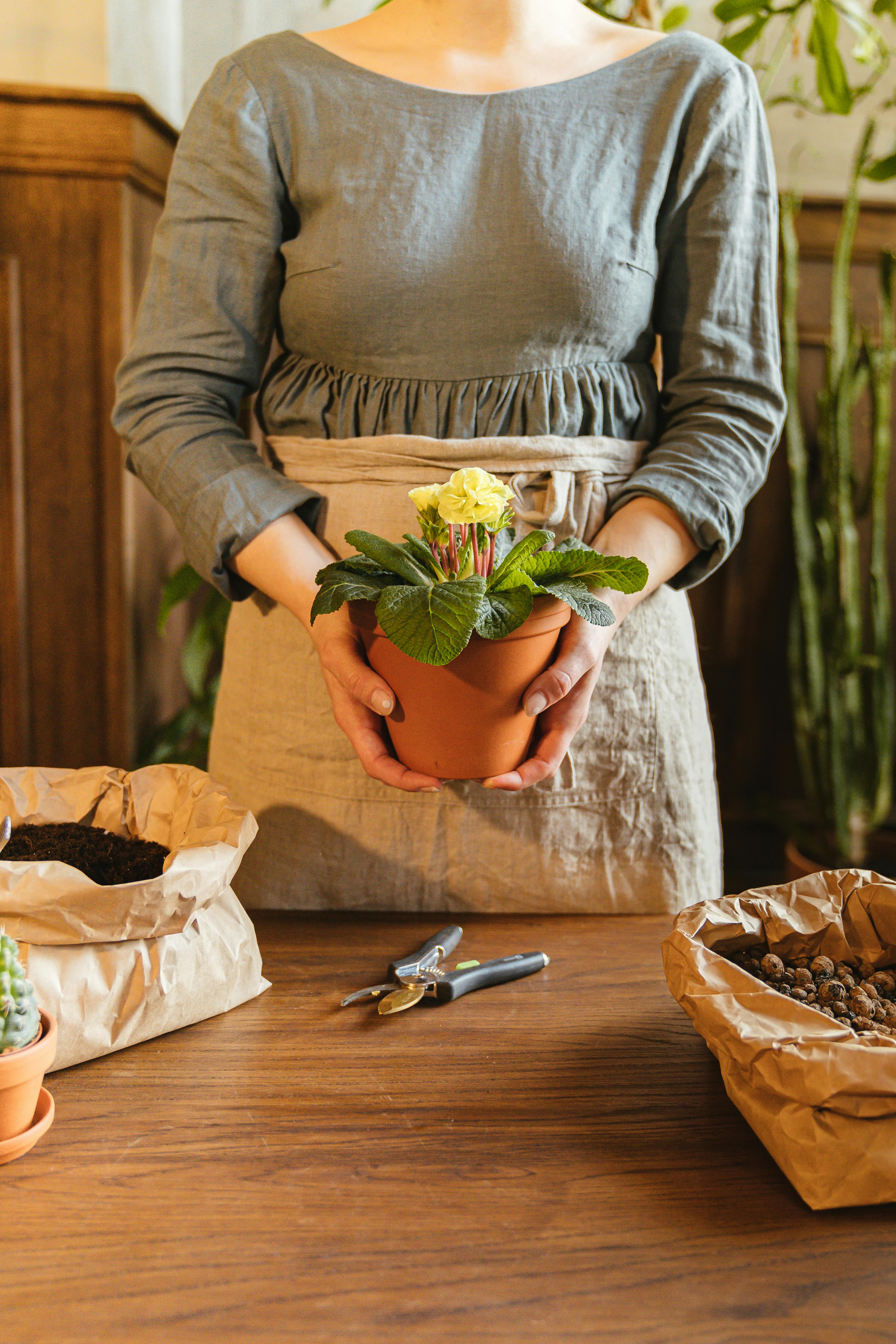a woman holding a potted plant