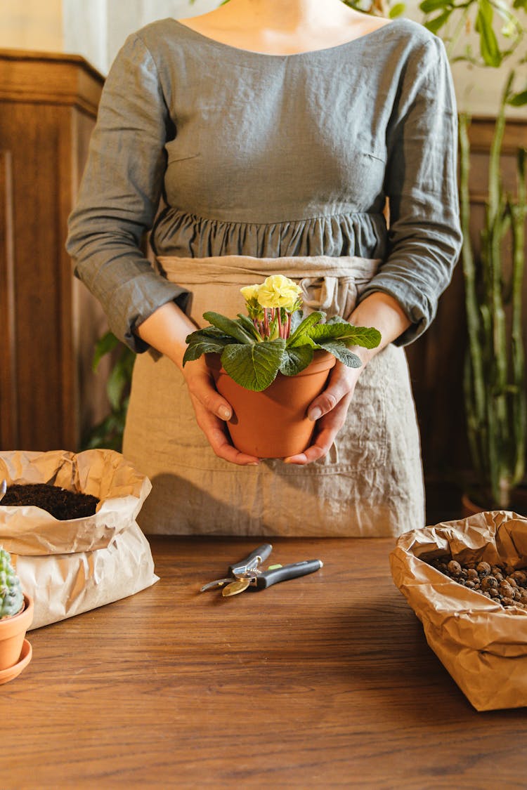 A Woman Holding A Potted Plant