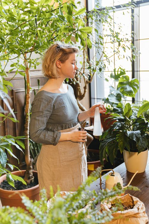 Free Woman caring for houseplants with spray bottle in indoor garden setting. Stock Photo