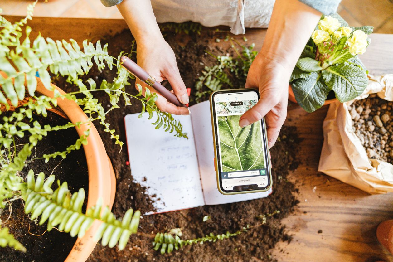 Hands using a phone and notebook to track plant growth in an indoor hydroponic garden