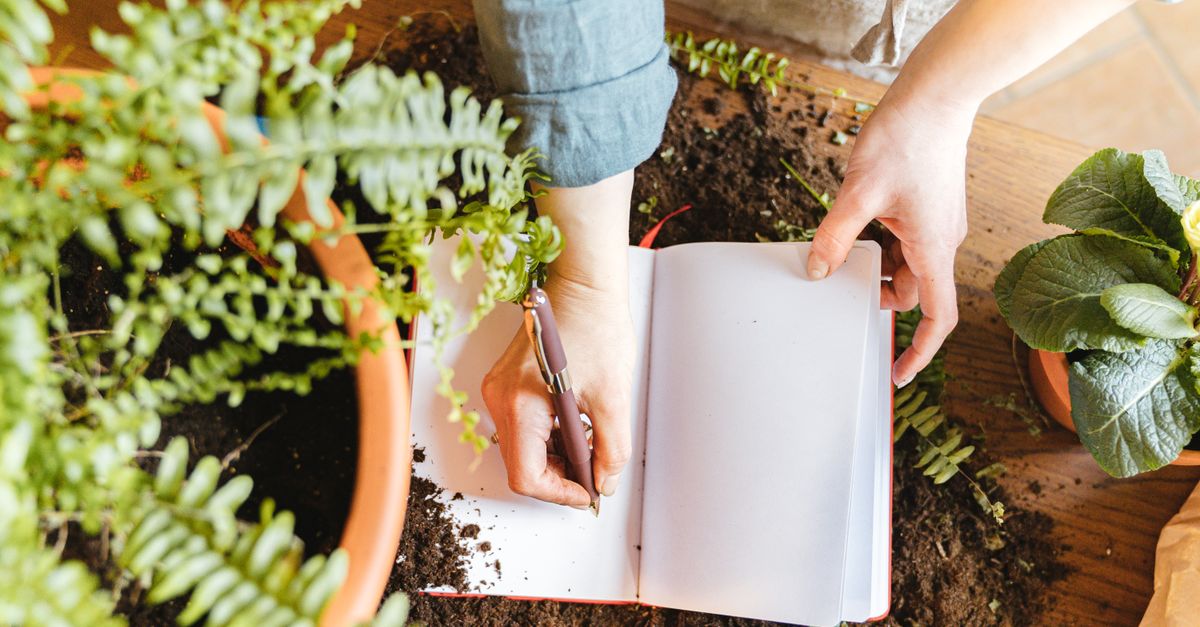 Comment Établir un Calendrier de Jardinage Pour Chaque Saison