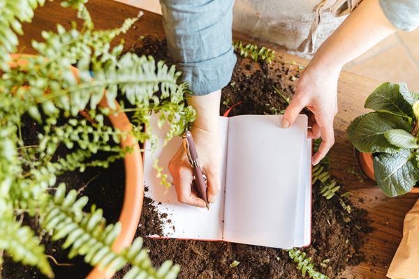Gardening calendar course teaching what to do each month in your garden — seasonal garden in full bloom with flowers, fruits, and vegetables