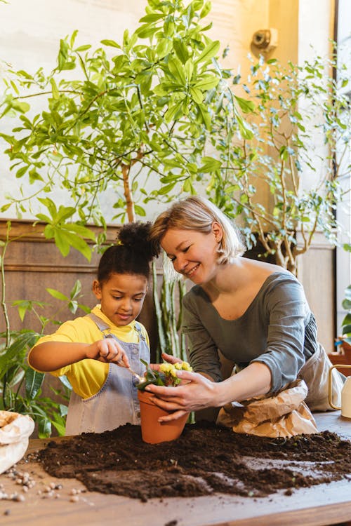 A Woman Holding a Potted Plant