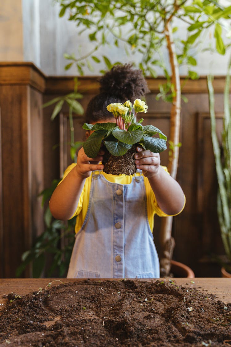 Little Girl Holding A Plant With Yellow Flowers