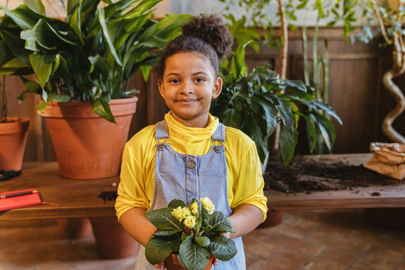 Young girl holding a seedling plant grown in the school garden