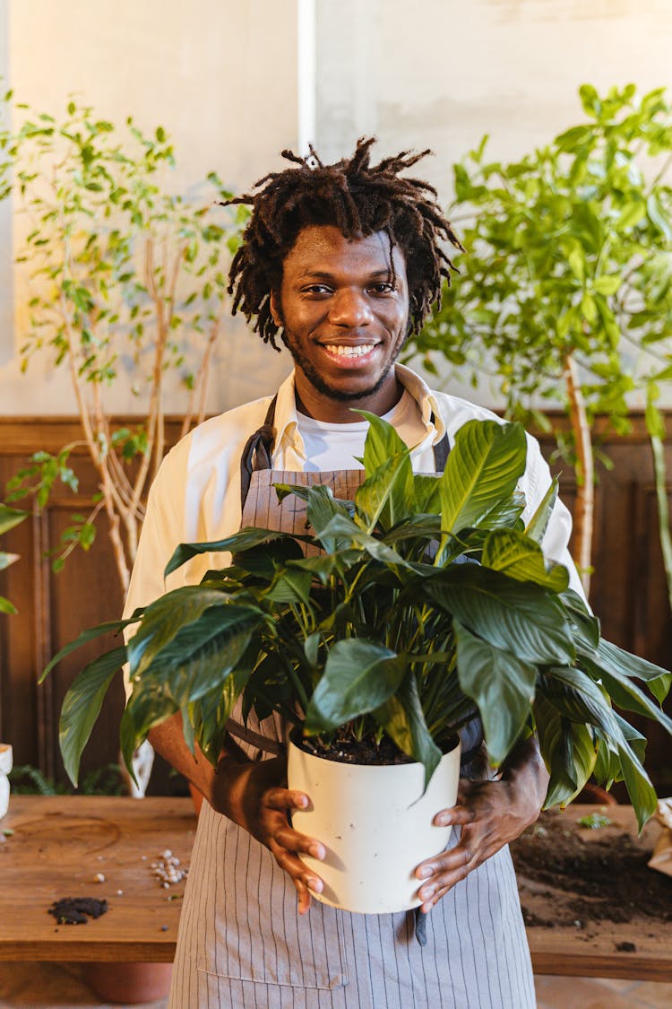 Man In White Shirt And Apron Holding A Potted Plant