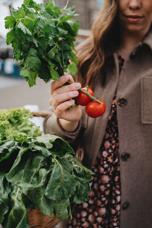 Free Woman Holding a Branch of Tomatoes Stock Photo
