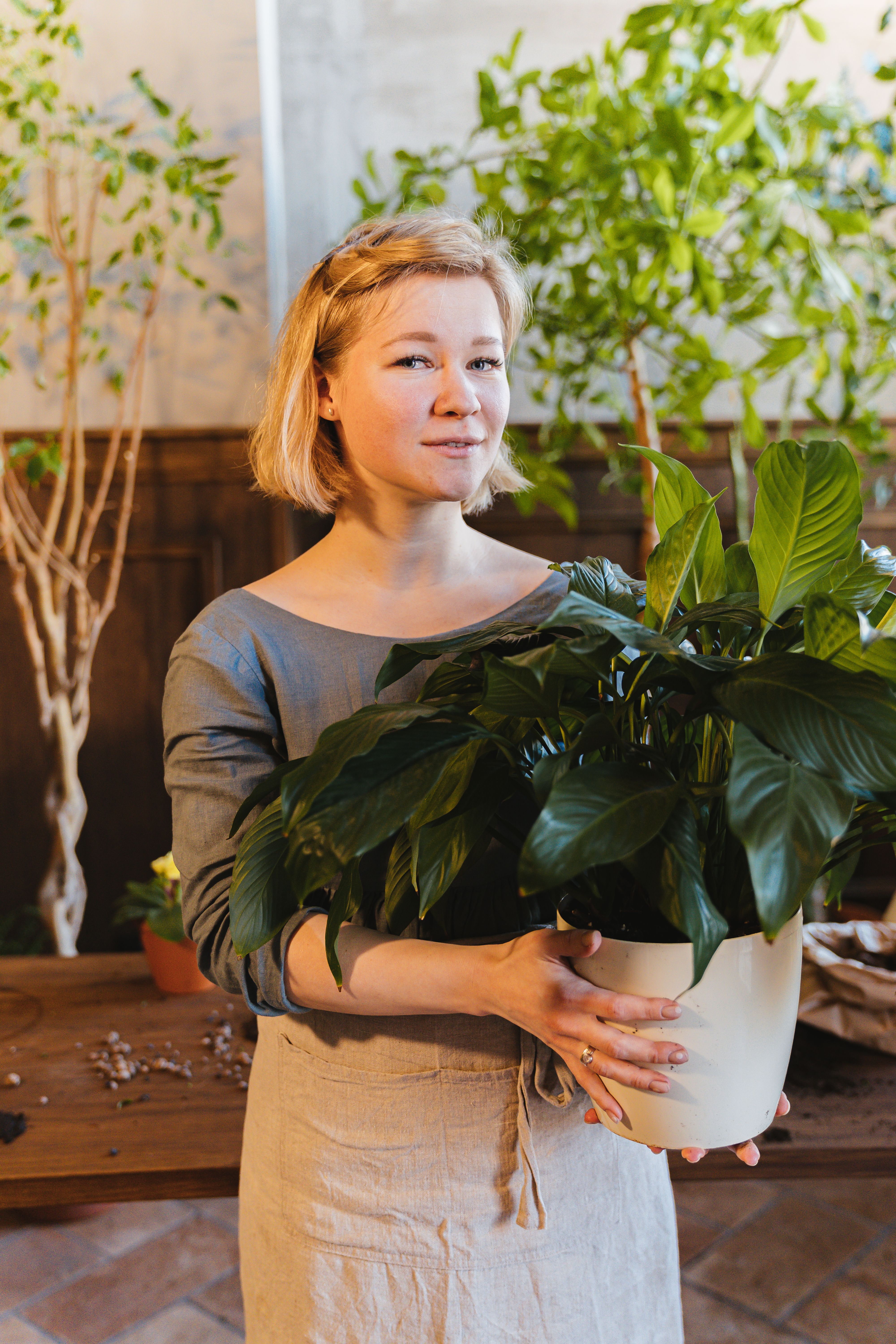A Woman Holding a Green Plant · Free Stock Photo