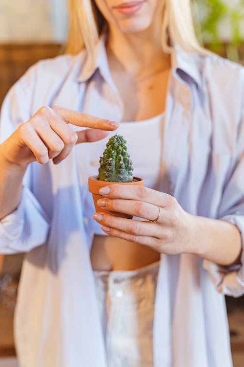 Person Holding a Cactus Plant