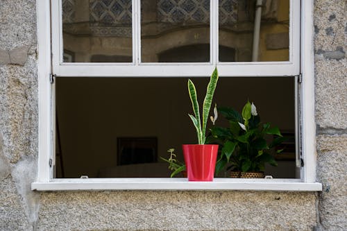 Fotos de stock gratuitas de alféizar de la ventana, arquitectura, cristal