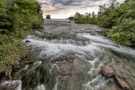 在郁郁葱葱的森林环境中，宁静的河流瀑布展现了大自然的美丽
