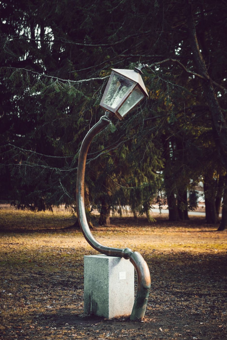Old creative iron streetlight placed on lawn with coniferous trees in daytime in park