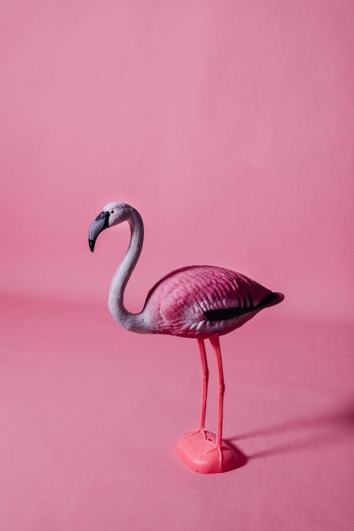 Free Replica of a Pink Flamingo on Pink Background Stock Photo