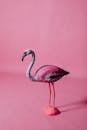 Replica of a Pink Flamingo on Pink Background