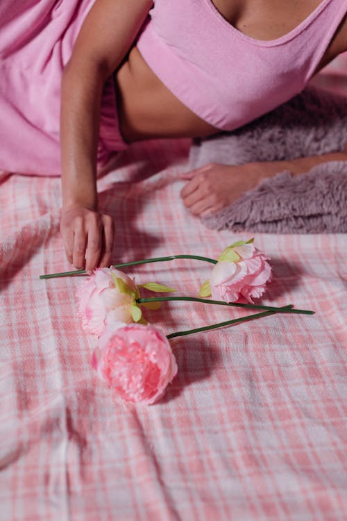 Free Pink Roses on Pink Blanket Stock Photo