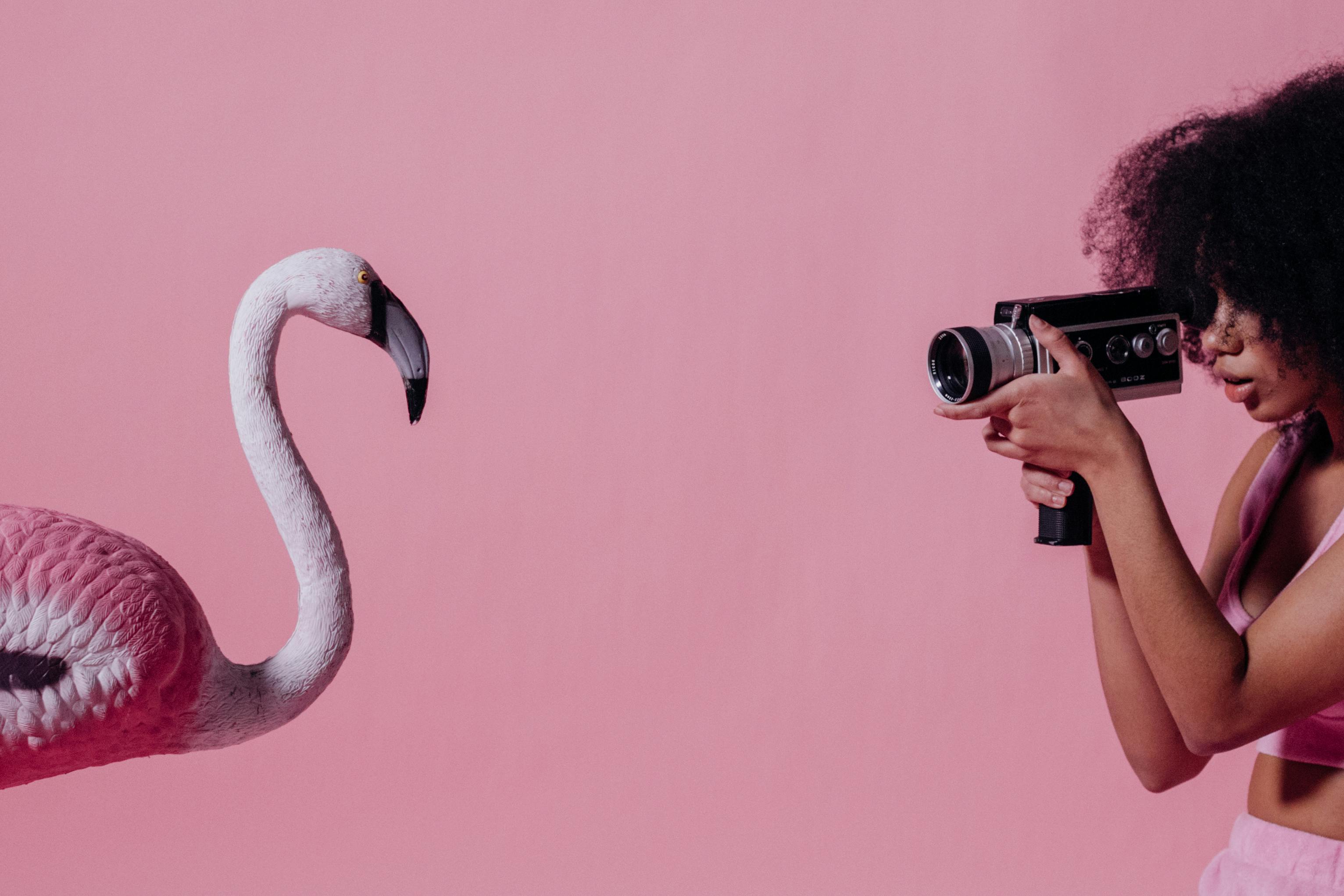 How to Find Creative Photography Inspiration in 7 Steps — Photo by KoolShooters on Pexels